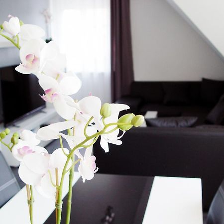 La Domus Premium Osnabrueck Lotte Apartment Ngoại thất bức ảnh