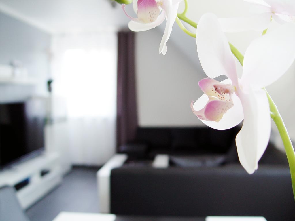 La Domus Premium Osnabrueck Lotte Apartment Ngoại thất bức ảnh