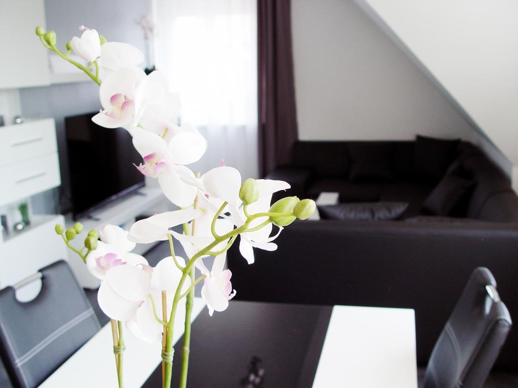 La Domus Premium Osnabrueck Lotte Apartment Ngoại thất bức ảnh