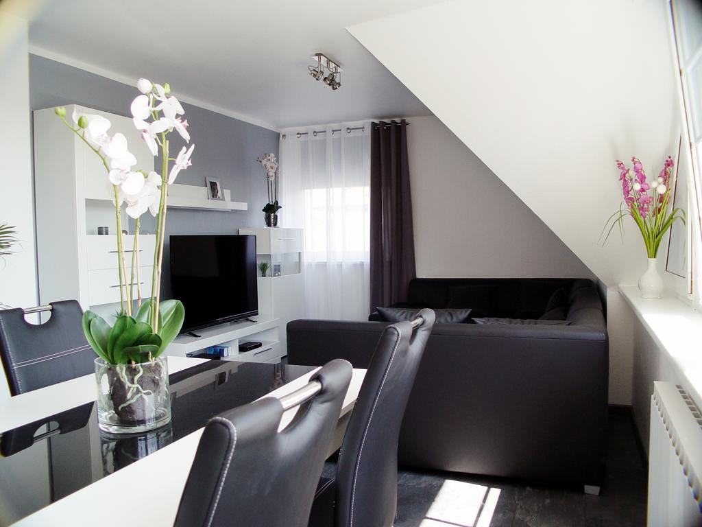 La Domus Premium Osnabrueck Lotte Apartment Ngoại thất bức ảnh